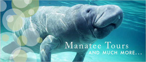 Explore all that the Nature Coast of Florida has to Offer